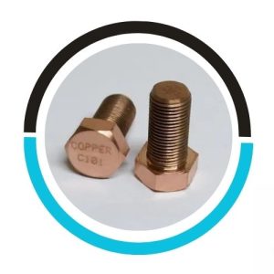 Copper-Nickel-hex-cap-screw in UAE