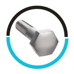 INCONEL 718 HEX CAP SCREW in UAE