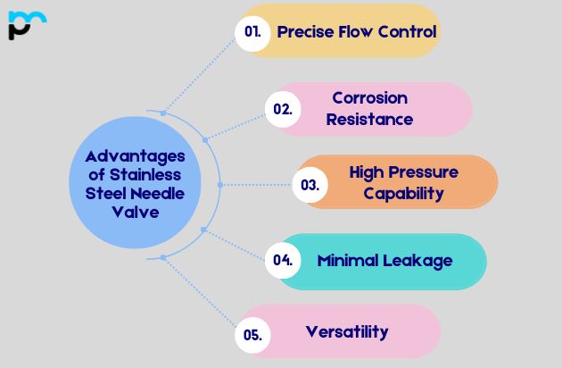 Advantages of Stainless Steel Needle Valve