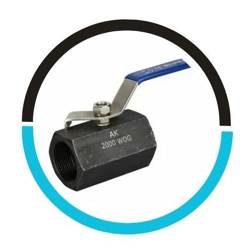 Socket Weld Inconel Check Valve in UAE