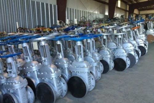 Hastelloy Valves